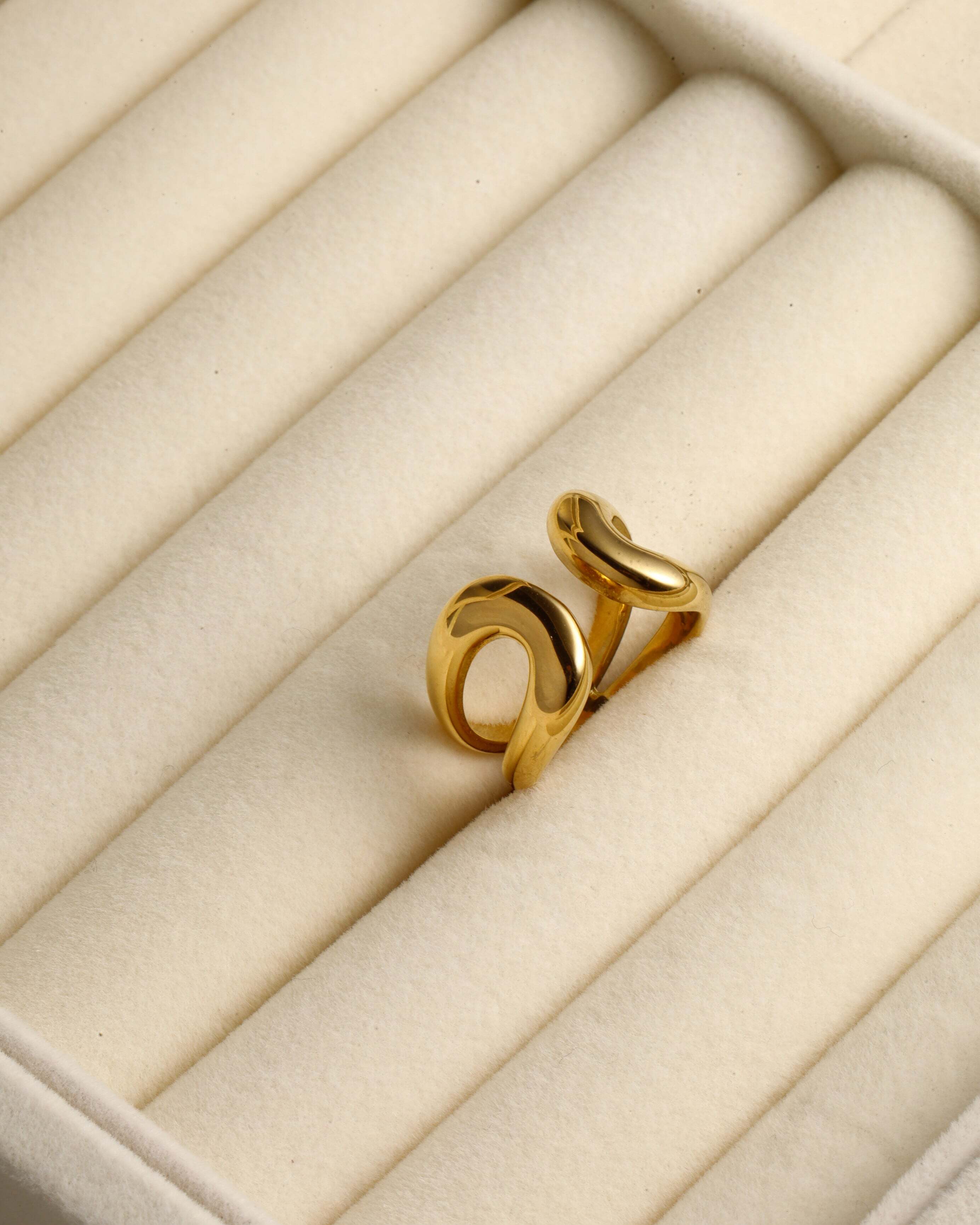 Horseshoe ring ホースシュー