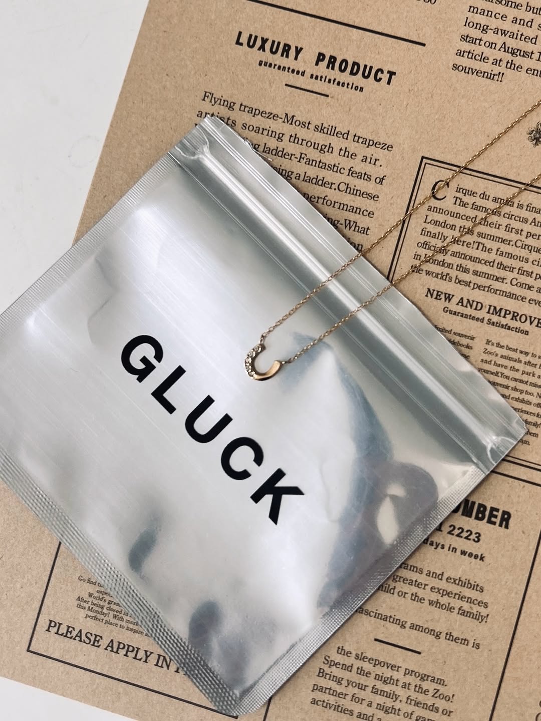 china.__.chuuu7 Mini Horseshoe Necklaceゴールド